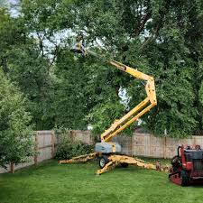 Best Storm Damage Tree Cleanup  in Blythewood, SC