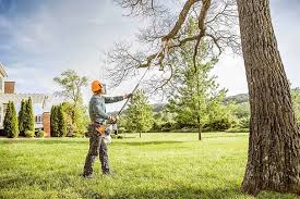 Best Tree Preservation Services  in Blythewood, SC