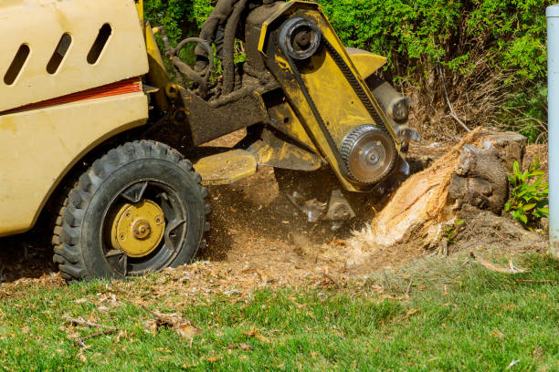 Best Lawn Drainage Solutions  in Blythewood, SC